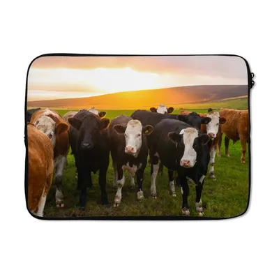 Produktbild von MuchoWow® Laptop Hülle 14 ZollKühe - Hügel - Sonnenuntergang - Gras - Grün Laptoptasche - Laptoptasche - Stoßsicher - Schutzhaube