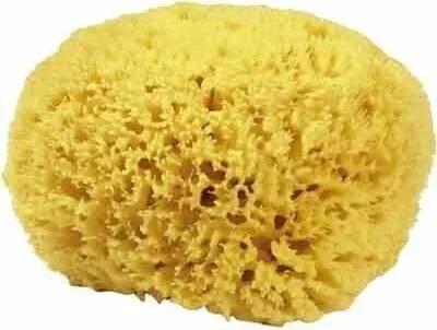 Produktbild von Naturschwamm P250 Premium