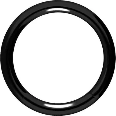 Produktbild von Intim-Piercing, Septum Piercing Chirurgenstahl Segmentring Schwarz Innendurchmesser: 10mm + Stabstärke: 1,6mm