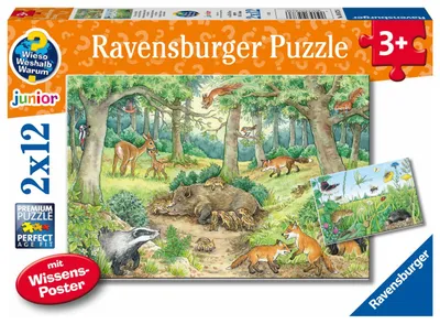 Produktbild von Wieso? Weshalb? Warum? Tiere im Wald und auf der Wiese Ravensburger 05673