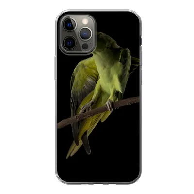 Produktbild von MuchoWow® Handyhülle Schutzhülle Hülle für iPhone 13 Pro Papagei - Vogel - Zweig Silikon Softcase Handy Hülle