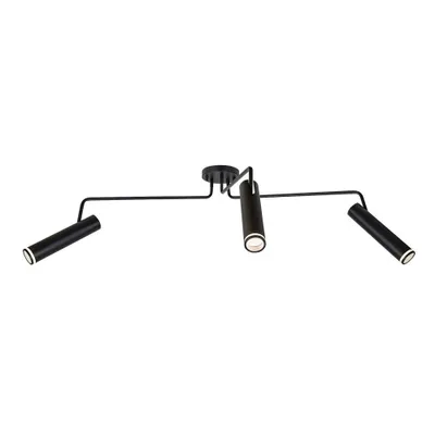 Zdjęcie produktu dla Lampa reflektor spot sufitowy SENOBIA 73039 Rabalux