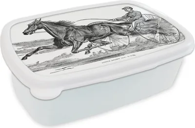 Produktbild von KitchenYeah® Lunchbox Brotzeit Brotdose 17x11 cm Eine Illustration eines Pferdes in der Trabrennbahn Kinder Brotzeitdose - Lunch Box - Kinder - Sandwich-Box - Schulbox - Lunch Boxen