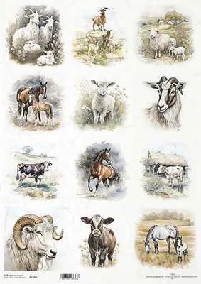 Image de Papier de riz pour plaques de découpage A3 ITD-1187L Moutons, chevaux, vaches, chèvres