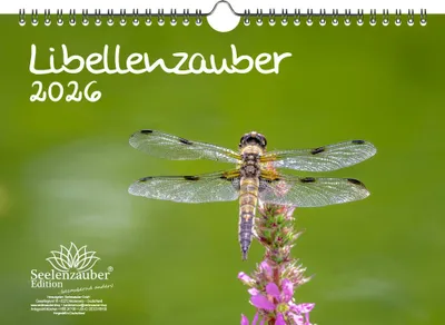 Produktbild von Libellenzauber DIN A4 Kalender für 2026 - Seelenzauber
