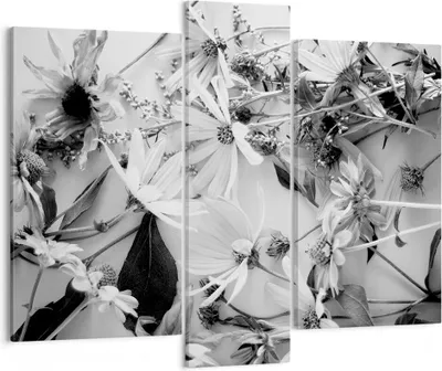 Produktbild von Bild auf Leinwand - Leinwandbild - 3 Teile - Blumen Schwarzweiß Fotografie - 95x80cm - Wand Bild - Wanddeko - Wandbilder - Leinwanddruck - Bilder - Wanddekoration - Leinwand bilder - CB95x80-4740