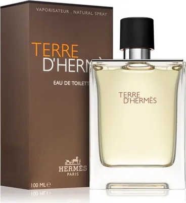 Image de Hermes Terre D'Hermes eau de Toilette für Herren 100 ml