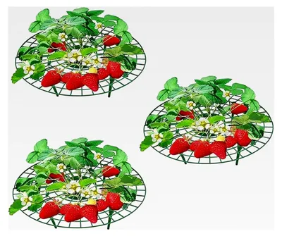 Produktbild von Erdbeerreifer Set, 3 Stück Erdbeerreifer und Fruchtreifer für Erdbeeren, Gemüse und Tomaten