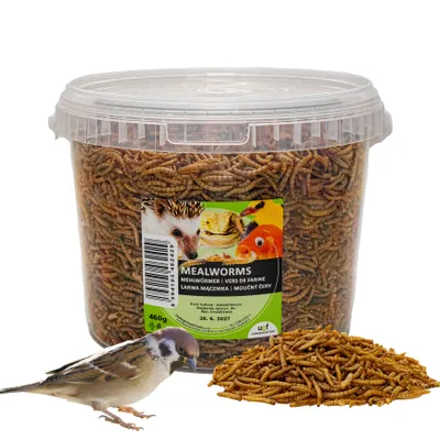 Image de UGF vers de Farine séchés de qualité supérieure 460 g (seau 3 L), nourriture de base pour oiseaux toute l'année, pour hérissons, écureuils et hamsters