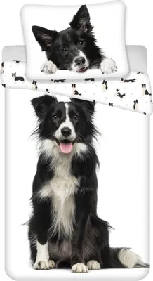 Image de Border Collie, linge de lit, blanc, linge de lit pour enfants, 140 x 200 cm couette, 70 x 90 cm oreiller, 100% coton