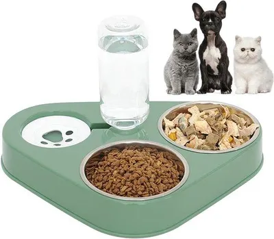 Produktbild von Doppelvoederbox für Hunde und Katzen - Doppelvoederbox mit Gravity-Wasserdispenser - ideal für nasses und trockenes Futter - automatische Wasserdispenser und Futterstation für Haustiere wie Katzen und Hunde (grün)