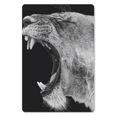 Produktbild von MuchoWow® Mauspad Mousepad Tiere - Löwe - Schwarz - Weiß - Porträt 18x27 cm - Mousepads - Maus Mat - Pad - Mausunterlage