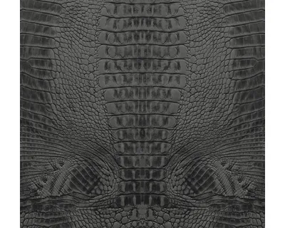 Produktbild von Origin Wallcoverings Fototapete Krokodil-Optik Schwarz 300 x 279 cm
