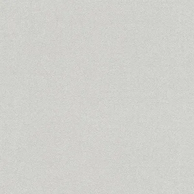 Produktbild von A.S. Creation | Premium Wall 2 | 358661 | Vliestapete | Einfarbig | 10.05 x 0.53 m | Grau | Wohnzimmer | Flur | Büro | Küche | Wohnräume