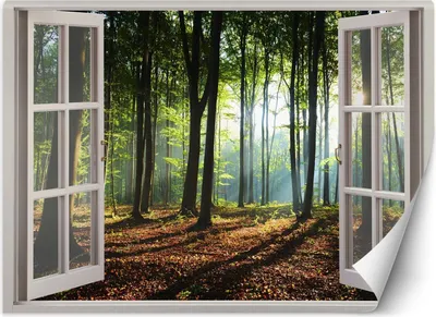 Zdjęcie produktu dla Fototapeta filzelinowa Okno las drzewa natura 280x200 cm Feeby Brązowy klej w zestawie łatwa w montażu