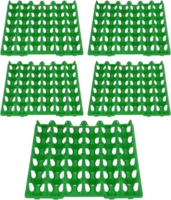 Produktbild von Famanu Eierkratten 5 Stück - 30 Zellen, Kunststoff, grün
