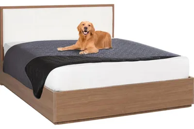 Zdjęcie produktu dla Wodoodporny koc dla psa, 130 x 200 cm, ciemnoszary, odporny na zarysowania, dwustronny