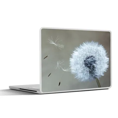Produktbild von MuchoWow® Laptop Aufkleber Sticker Cover Löwenzahn - Blume - Pflanze 40x30 cm - Laptop Dekoration - Selbstklebend