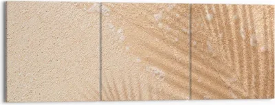 Produktbild von Bild auf Leinwand - Leinwandbild - 3 Teile - Sand Schatten Blätter - 150x50cm - Wand Bild - Wanddeko - Wandbilder - Leinwanddruck - Bilder - Wanddekoration - Leinwand bilder - Wandbild - CA150x50-4580
