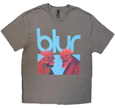 Obrázek produktu pro Tričko Blur – „Hens Teeth“ pro muže/ženy, uni RO16326 (XXL) (antracitová)