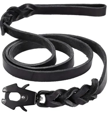 Produktbild von GEIT 1,5 m Lange Leder-Hundeleine, robuste Trainingsleine, echtes Leder, gefloch