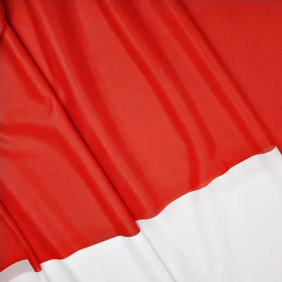 Produktbild von Flagge Polens
