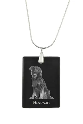 Immagine prodotto di Hovawart - Ciondolo in cristallo con cane, collana in argento con foto, ciondolo personalizzato del marchio Art-Dog
