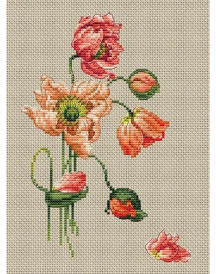 Zdjęcie produktu dla Zestaw do haftu krzyżykowego "Mak" z kolekcji "D'Art", schemat graficzny, tkanina Aida 14, wymiary 13x19 cm