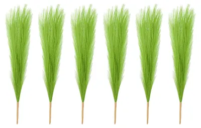 Produktbild von Künstliches Pampasgras 43 cm – 6er-Set – grün