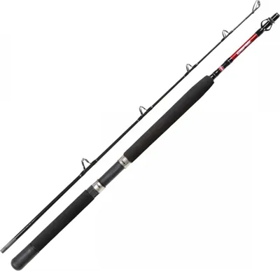 Produktbild von PENN Warfare Boat 1.80m 30lb - Bootsrute
