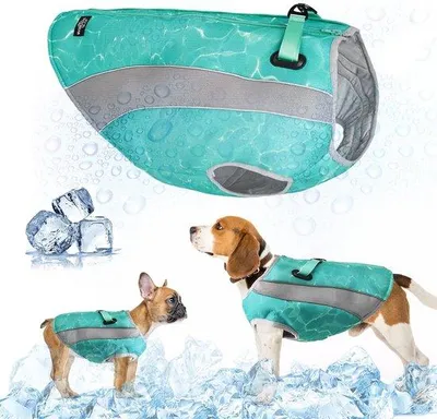 Produktbild von Famanu Kühlweste für Hunde mit D-Ringen und verstellbarem Reißverschluss - Größe S