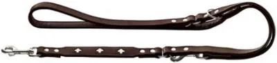 Verstellbare Hundeleine aus hochwertigem Leder - 1,8 x 200 cm - Braun