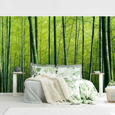 Produktbild von Vliestapete - Bambuswald - Fototapete Breit, Größe HxB:255cm x 384cm