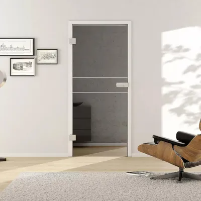 Produktbild von Griffwerk Glasdrehtür (ESG) LINES 589 ESG MOON GREY klar 709x2097x8mm Studio/Office DIN L