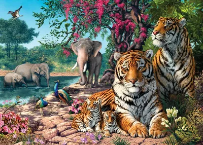 Obrázek produktu pro CASTORLAND Tiger Sanctuary Puzzle 300 dílků