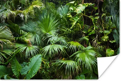 Produktbild von MuchoWow® Poster Palmwedel - Sonne - Tropisch 60x40 cm - Schlafzimmerdekoration