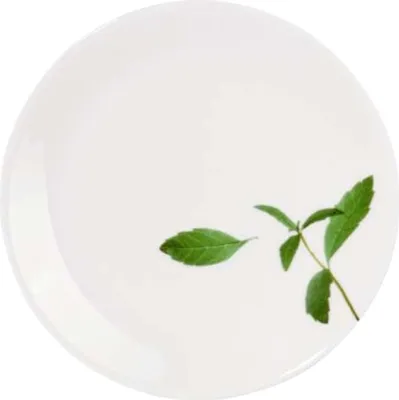 Produktbild von ASA à table leaves Dessertteller 14,5 cm
