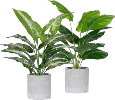 Produktbild von Famanu Kunstpflanzen Set von 2 - Ideal für Büro und Wohnraum