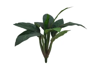 Produktbild von EUROPALMS Mangoldbusch, künstlich, 45cm (82508302)