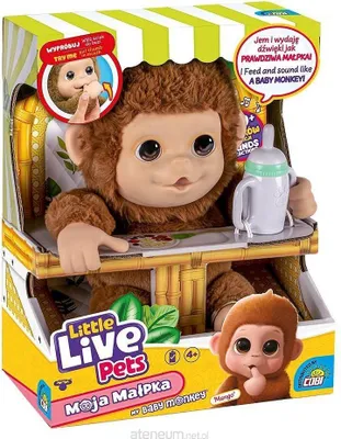 The image shows the packaging of a Little Live Pets "My Baby Monkey" toy. The packaging features the toy monkey prominently, along with product information and branding.
