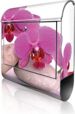 Produktbild von banjado Design Briefkasten Stahl silber mit Zeitungsfach pulverbeschichtet "Orchidee" 38x46x12,5cm & 2 Schlüssel - Postkasten A4 Einwurf inkl. Montagematerial [BK 10086]