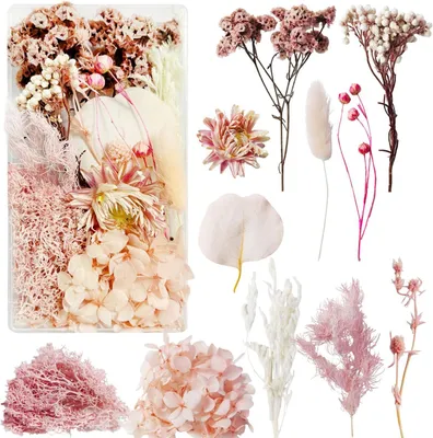 Produktbild von Getrocknete Blumen und Blätter, rosa, natürliche Dekoration, 1 Set, für DIY Bastelprojekte