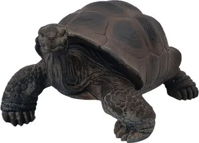 Produktbild von Dekofigur Schildkröte mittel 23 x 33 x 39 cm