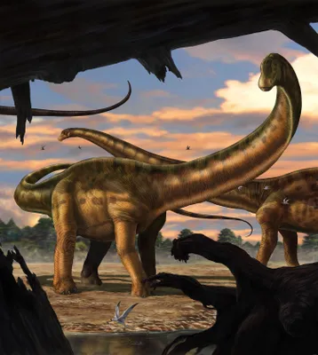 Produktbild von Komar Fototapete Seismosaurus Braun, Beige und Blau - 610811 - 250 x 280 cm