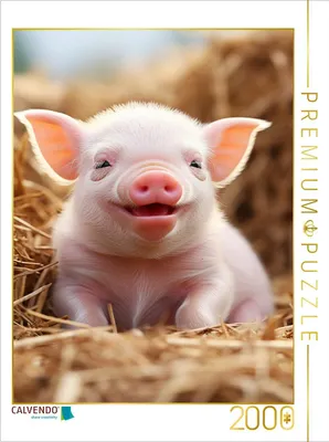 Produktbild von CALVENDO Puzzle Gute Laune | 2000 Teile Lege-Größe 90x67cm Foto-Puzzle für glückliche Stunden
