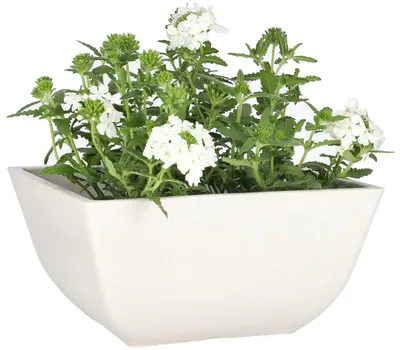 Obrázek produktu pro KOTARBAU® Květináč, pěstební nádoba z recyklovaných materiálů, rozměry 25x25x12,7 cm, bílá barva