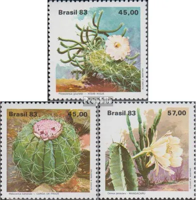 Produktbild von Briefmarken Brasilien 1983 Mi 1996-1998 (kompl.Ausg.) postfrisch Kakteen