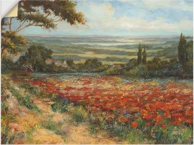 Produktbild von ARTland Wandbild, selbstklebend Weg am Mohnfeld Größe: 60x45 cm
