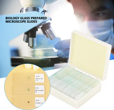 Zdjęcie produktu dla 25 sztuk szkiełek mikroskopowych przygotowanych do biologii z pudełkiem