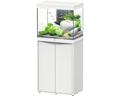Produktbild von Aquariumkombination aquatlantis Splendid 110 inkl. LED-Beleuchtung, Filter, Unterschrank weiß